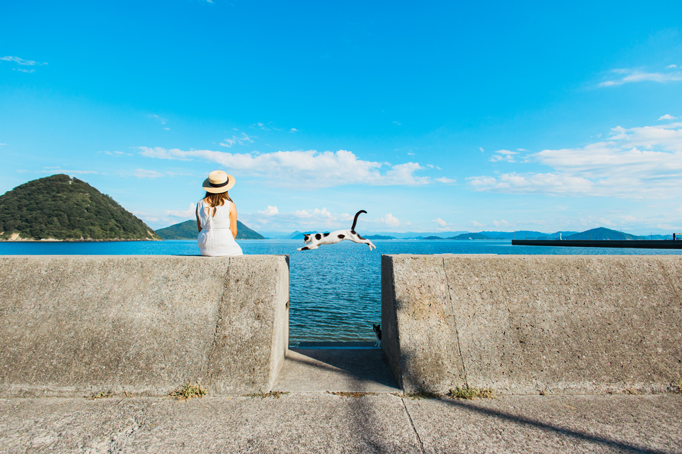 島部門　Yurikoさんの作品「猫と私の夏休み」